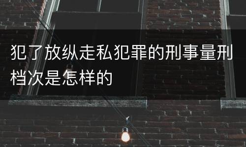 犯了放纵走私犯罪的刑事量刑档次是怎样的