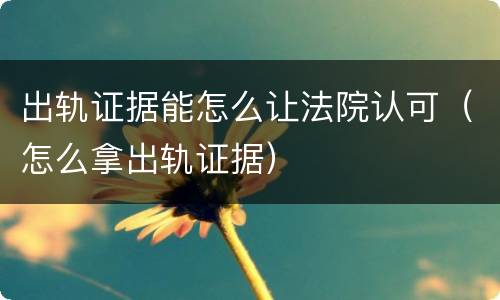 出轨证据能怎么让法院认可（怎么拿出轨证据）