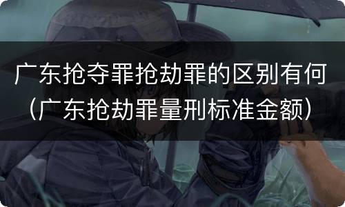 广东抢夺罪抢劫罪的区别有何（广东抢劫罪量刑标准金额）