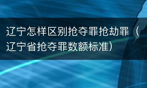 辽宁怎样区别抢夺罪抢劫罪（辽宁省抢夺罪数额标准）