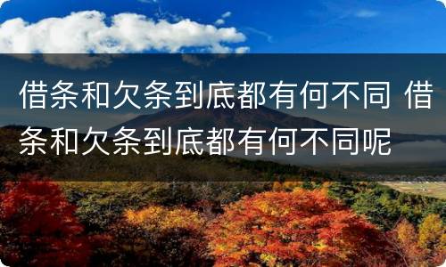 借条和欠条到底都有何不同 借条和欠条到底都有何不同呢