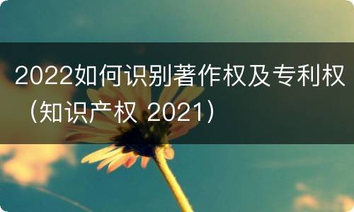 2022如何识别著作权及专利权（知识产权 2021）
