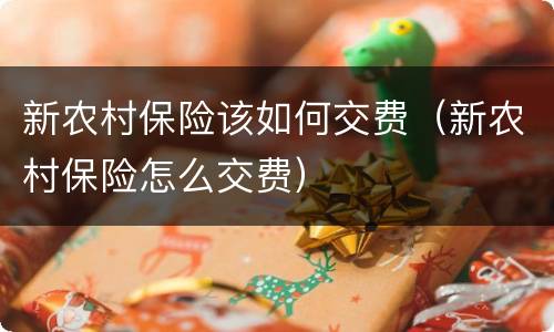 新农村保险该如何交费（新农村保险怎么交费）