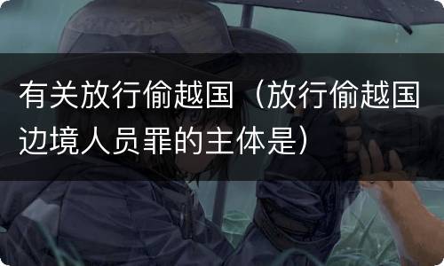 有关放行偷越国（放行偷越国边境人员罪的主体是）