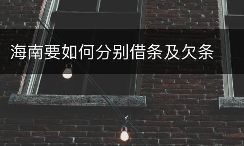 海南要如何分别借条及欠条