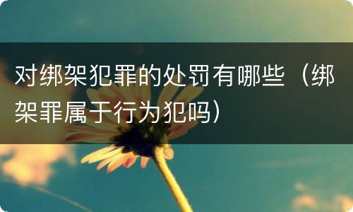 对绑架犯罪的处罚有哪些（绑架罪属于行为犯吗）