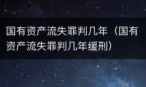 国有资产流失罪判几年（国有资产流失罪判几年缓刑）
