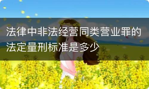 法律中非法经营同类营业罪的法定量刑标准是多少