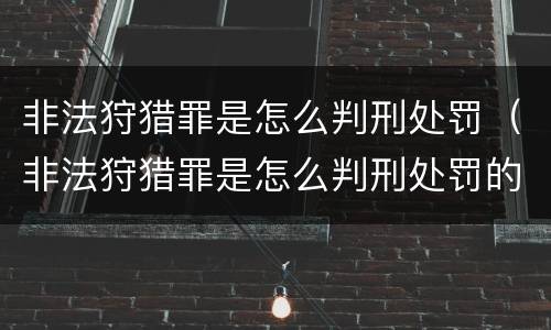 非法狩猎罪是怎么判刑处罚（非法狩猎罪是怎么判刑处罚的）