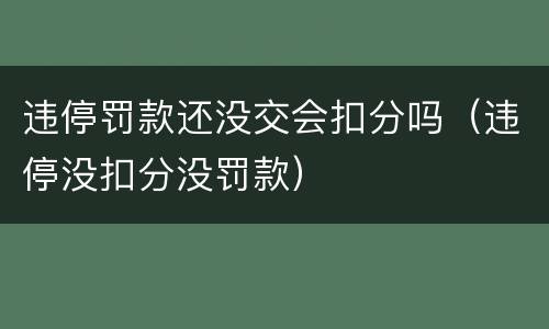 违停罚款还没交会扣分吗（违停没扣分没罚款）