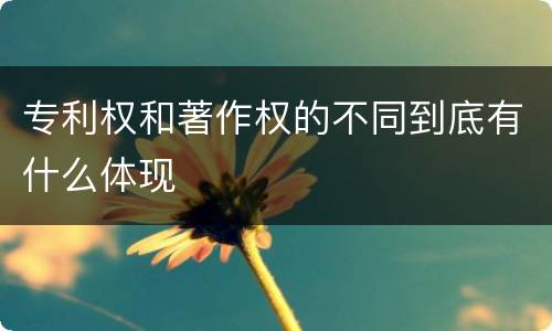 专利权和著作权的不同到底有什么体现