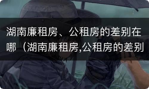 湖南廉租房、公租房的差别在哪（湖南廉租房,公租房的差别在哪里）