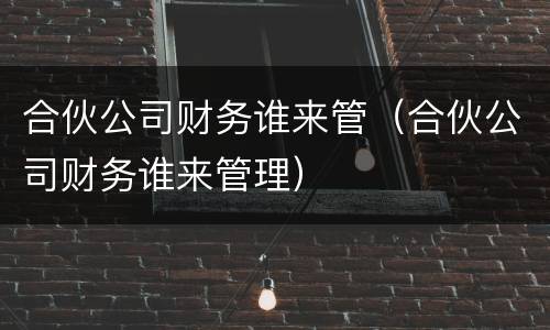 合伙公司财务谁来管（合伙公司财务谁来管理）