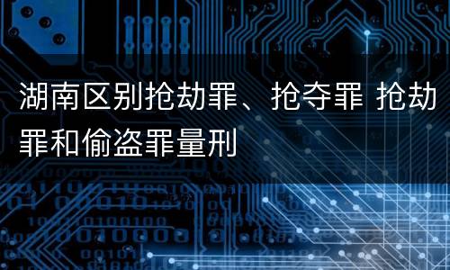 湖南区别抢劫罪、抢夺罪 抢劫罪和偷盗罪量刑
