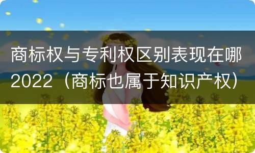 商标权与专利权区别表现在哪2022（商标也属于知识产权）