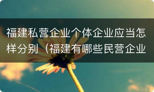福建私营企业个体企业应当怎样分别（福建有哪些民营企业）