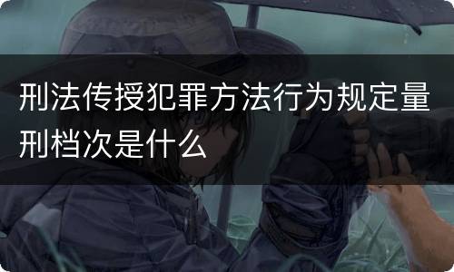 刑法传授犯罪方法行为规定量刑档次是什么