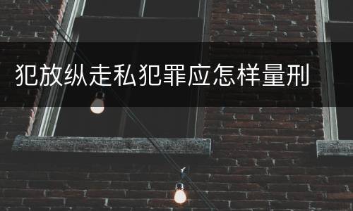 犯放纵走私犯罪应怎样量刑