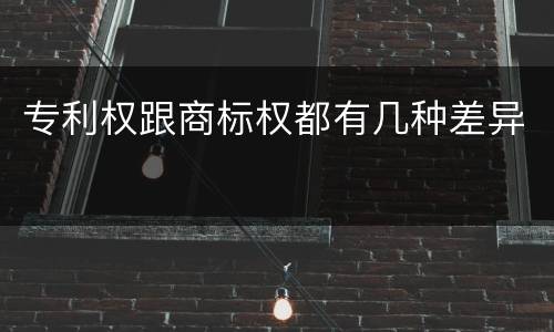 专利权跟商标权都有几种差异