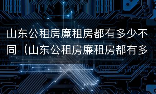 山东公租房廉租房都有多少不同（山东公租房廉租房都有多少不同的房子）