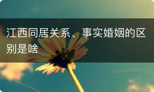 江西同居关系、事实婚姻的区别是啥