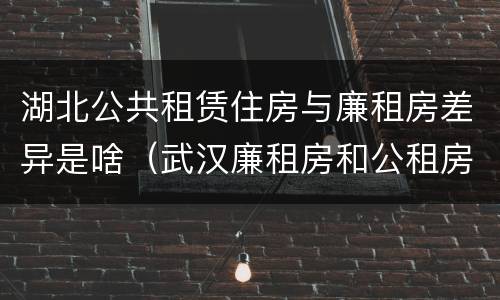 湖北公共租赁住房与廉租房差异是啥（武汉廉租房和公租房的区别）