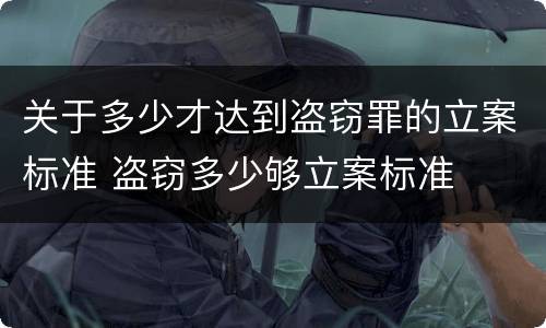 关于多少才达到盗窃罪的立案标准 盗窃多少够立案标准