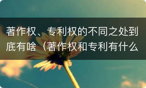 著作权、专利权的不同之处到底有啥（著作权和专利有什么区别）