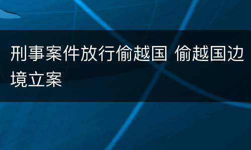 刑事案件放行偷越国 偷越国边境立案