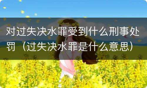 对过失决水罪受到什么刑事处罚（过失决水罪是什么意思）