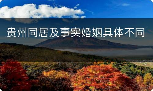 贵州同居及事实婚姻具体不同