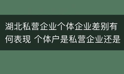 湖北私营企业个体企业差别有何表现 个体户是私营企业还是民营企业