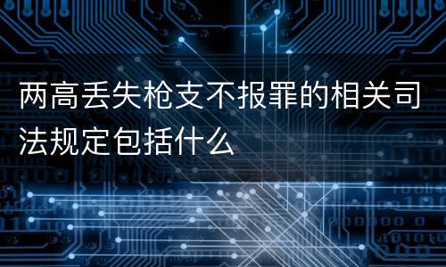 两高丢失枪支不报罪的相关司法规定包括什么