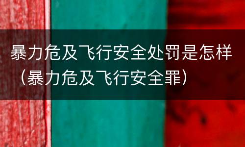 暴力危及飞行安全处罚是怎样（暴力危及飞行安全罪）