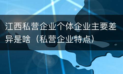 江西私营企业个体企业主要差异是啥（私营企业特点）