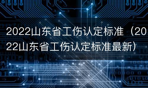 2022山东省工伤认定标准（2022山东省工伤认定标准最新）