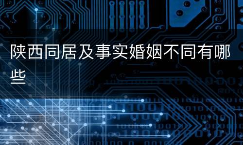 陕西同居及事实婚姻不同有哪些