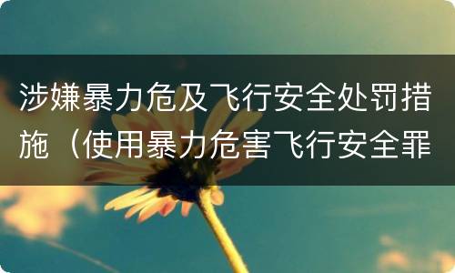 涉嫌暴力危及飞行安全处罚措施（使用暴力危害飞行安全罪）