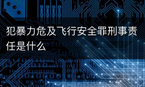 犯暴力危及飞行安全罪刑事责任是什么