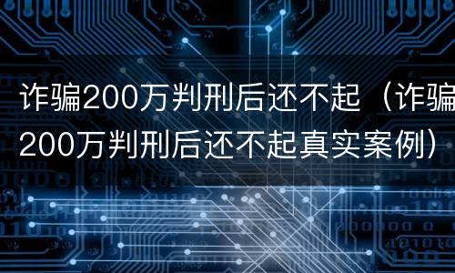 诈骗200万判刑后还不起（诈骗200万判刑后还不起真实案例）