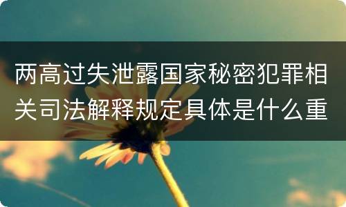 两高过失泄露国家秘密犯罪相关司法解释规定具体是什么重要内容