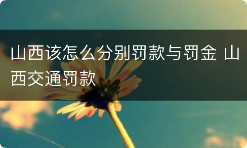 山西该怎么分别罚款与罚金 山西交通罚款