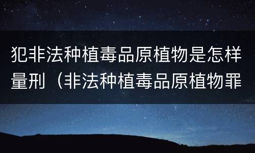 犯非法种植毒品原植物是怎样量刑（非法种植毒品原植物罪情节严重）