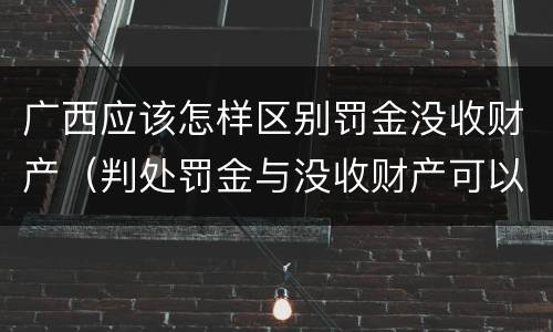 广西应该怎样区别罚金没收财产（判处罚金与没收财产可以并罚吗）