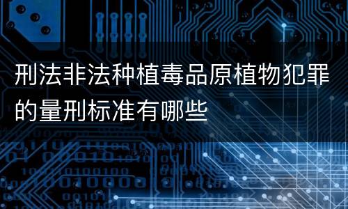 刑法非法种植毒品原植物犯罪的量刑标准有哪些