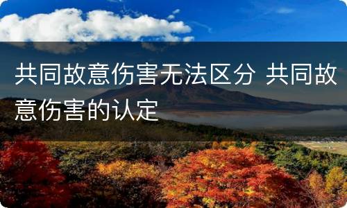 共同故意伤害无法区分 共同故意伤害的认定