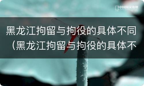 黑龙江拘留与拘役的具体不同（黑龙江拘留与拘役的具体不同之处）