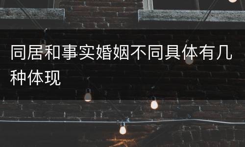 同居和事实婚姻不同具体有几种体现