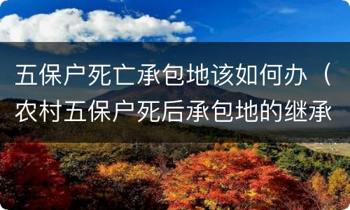 五保户死亡承包地该如何办（农村五保户死后承包地的继承问题）