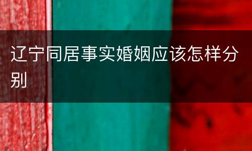 辽宁同居事实婚姻应该怎样分别